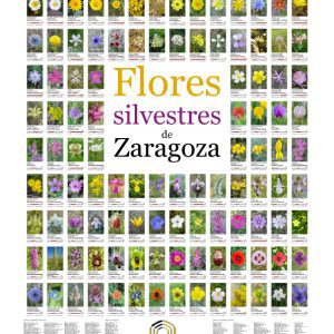 POSTER DE FLORES DE ZARAGOZA